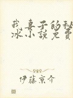 我妻子的秘密王冰小说免费阅读封面