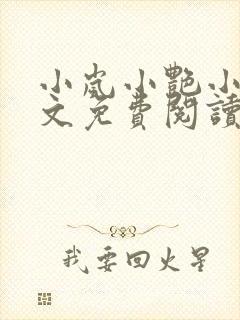 小岚小艳小说全文免费阅读最新章节