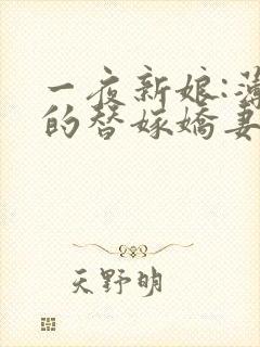 一夜新娘:薄爷的替嫁娇妻
