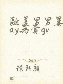 欧美男男暴菊gay无套gv