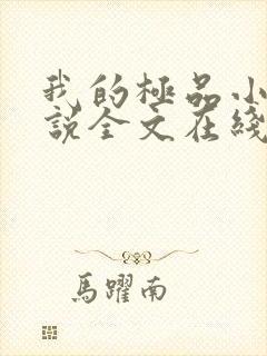 我的极品小姨小说全文在线阅读封面