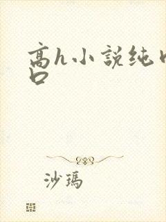 高h小说纯肉重口封面