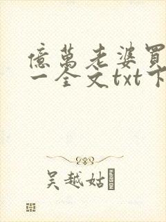 亿万老婆买一送一全文txt下载