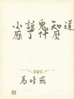 小说鬼知道我经历了什么封面