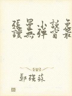 张曼小说免费阅读无弹窗最新章节