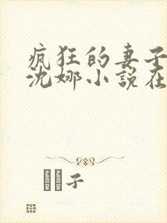 疯狂的妻子林瑶沈娜小说在线阅读