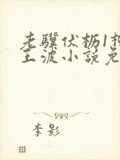 老骥伏枥1柳菲王波小说免费阅读