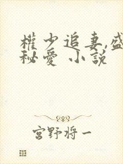 权少追妻,盛婚秘爱 小说