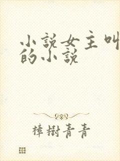 小说女主叫林妍的小说