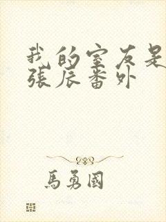 我的室友是直男张辰番外