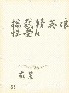 总裁精英浪荡双性受h