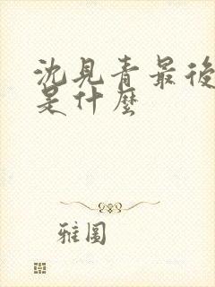 沈见青最后结局是什么