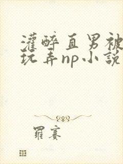 灌醉直男被下药玩弄np小说