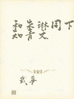 和朱琳同下乡的知青文封面