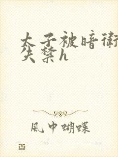 太子被暗卫肉到失禁h