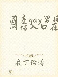 国产gay男同网站入口在线观看