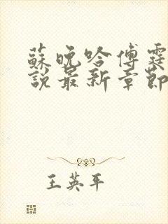 苏晚吟傅霆骁小说最新章节更新时间