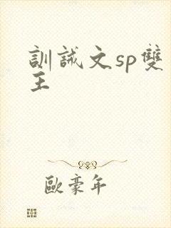 训诫文sp双男主