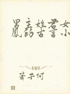 男主姓君女主姓凤的古言小说