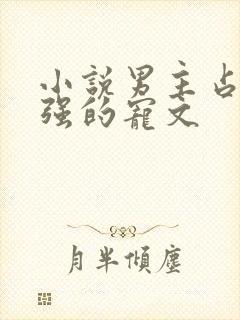 小说男主占有欲强的宠文