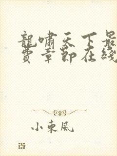 龙啸天下最新免费章节在线阅读封面