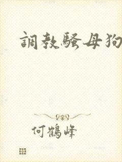调教骚母狗vk