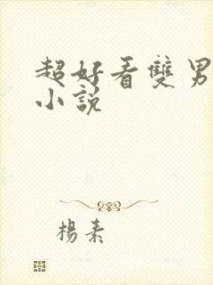 超好看双男主的小说封面