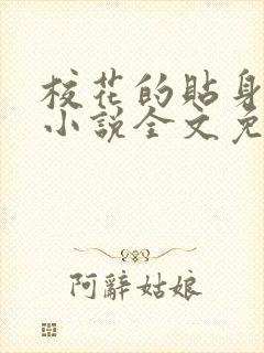 校花的贴身高手小说全文免费阅读封面