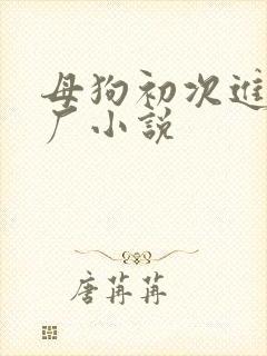 母狗初次进调教厂小说封面
