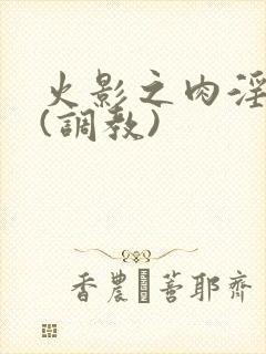 火影之肉淫世界(调教)