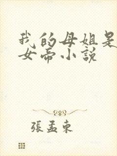 我的母姐是冷艳女帝小说
