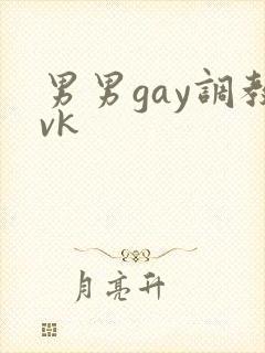 男男gay调教vk