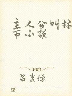 主人公叫林峰都市小说