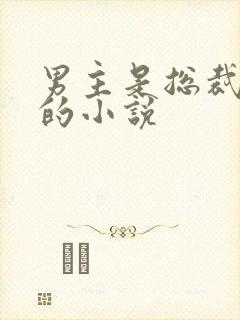 男主是总裁姓盛的小说