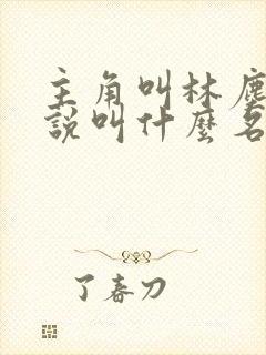 主角叫林尘的小说叫什么名字