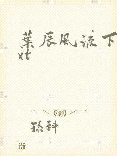 叶辰风流下载txt封面