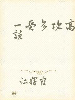 一受多攻高h小说