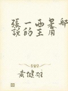 张一西是哪部小说的主角封面