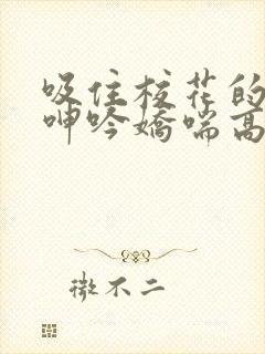 吸住校花的奶头呻吟娇喘高潮小说封面