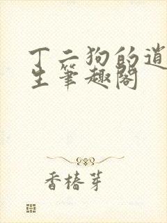 丁二狗的逍遥人生笔趣阁封面