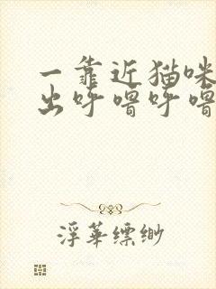 一靠近猫咪就发出呼噜呼噜的声音