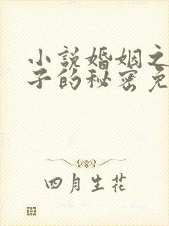 小说婚姻之殇妻子的秘密免费阅读