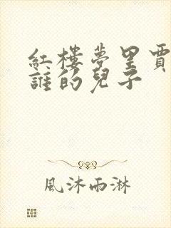 红楼梦里贾琏是谁的儿子