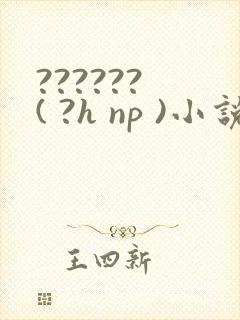 ?????? ( ?h np )小说