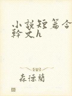 小说短篇合集高干文h