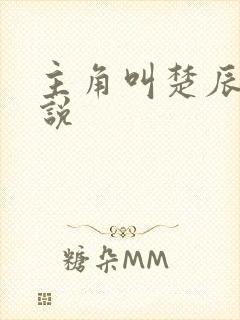 主角叫楚辰的小说