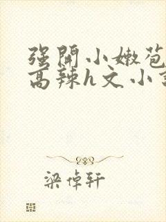 强开小嫩苞h文高辣h文小说封面