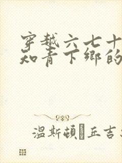 穿越六七十年代知青下乡的小说封面