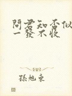 问君知否似大江一发不收封面