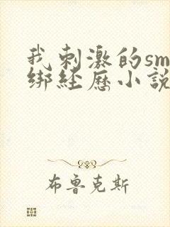 我刺激的sm捆绑经历小说封面